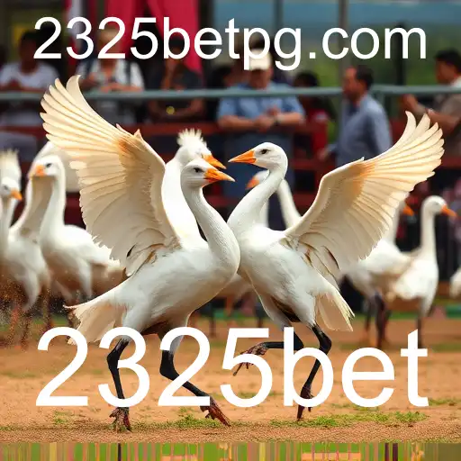 Explorando o Mundo do Sabong Online e 2325bet